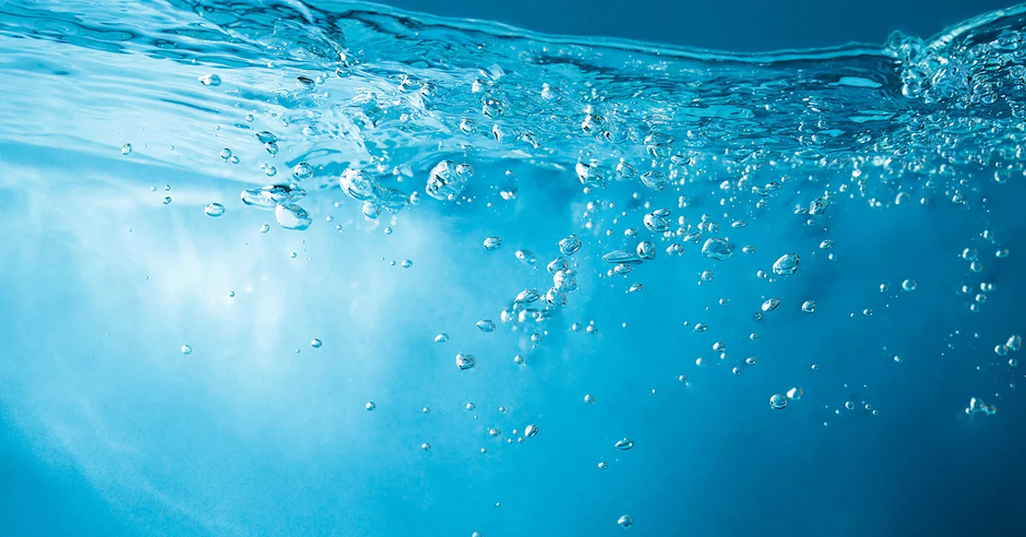 Acuario SOCIAL Compartir SavingsBubble
